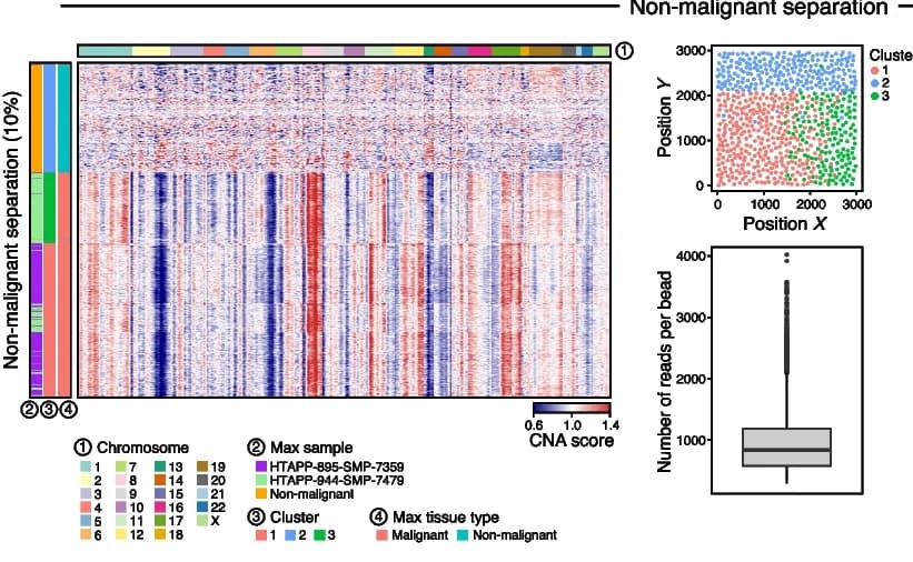Open access visualization of Heatmap, Scatter Plot, Box Plot, SlideCNA, Heat Map