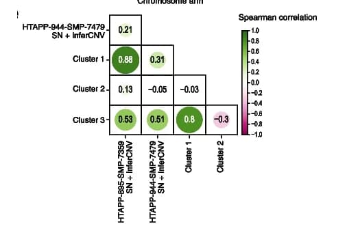 Open access visualization of Bubble Plot, Spearman Correlation, Copy Number Alteration, In Silico Data, Non-Malignant Cells