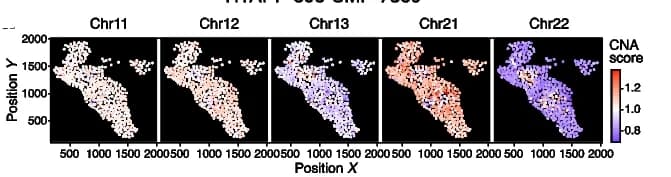 Open access visualization of Scatter Plot, Manhattan Plot, Spatial Plot, CNA Score, Chromosomes