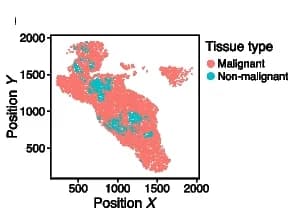 Open access visualization of Scatter Plot, UMAP, Spatial Plot, Beads, Non-Malignant