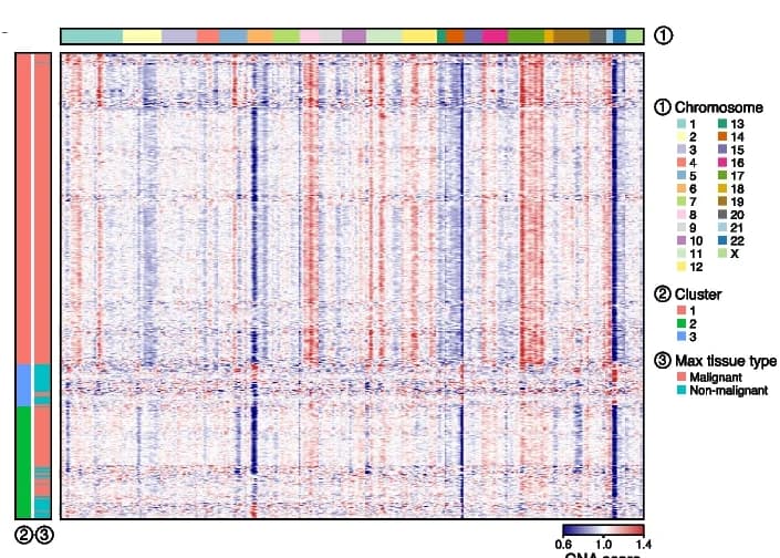 Open access visualization of Heatmap, Bar Plot, SlideCNA, Heat Map, Malignant