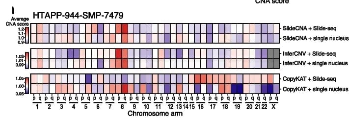 Open access visualization of Heatmap, SlideCNA, InferCNV, CopyKAT, ABSOLUTE