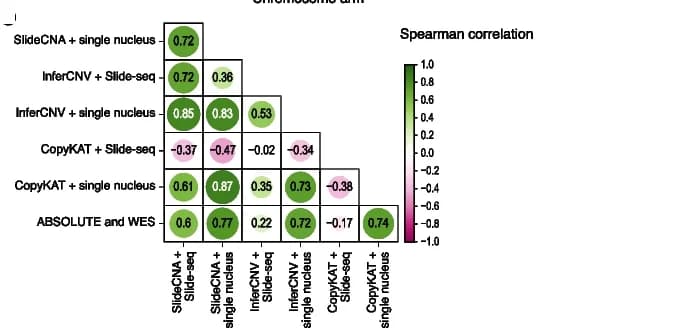 Open access visualization of Bubble Plot, Scatter Plot, Spearman Correlation, CNA Profiles