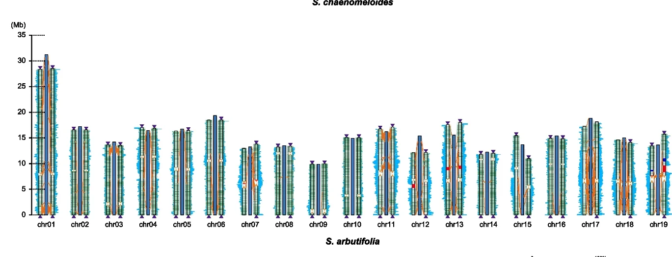 Open access visualization of Bar Plot, Line Plot, Syntenic Alignments, Haplotype Genomes, Reference Genome