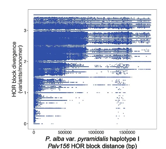 Open access visualization of Scatter Plot, Regression Plot, Palv156 HORs Distance, HORs Variation Levels, P. alba var. pyramidalis haplotype I