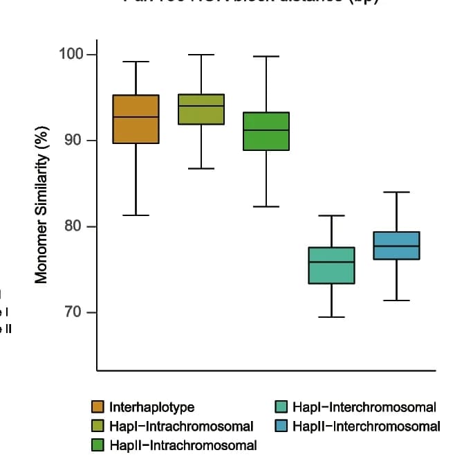 Open access visualization of Box Plot, Boxplot, Palv156 TRAs, Monomer Similarity, Chromosomes