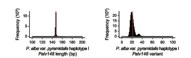 Open access visualization of Density Plot, Palv148 Monomer, Monomer Length, Variant Distance