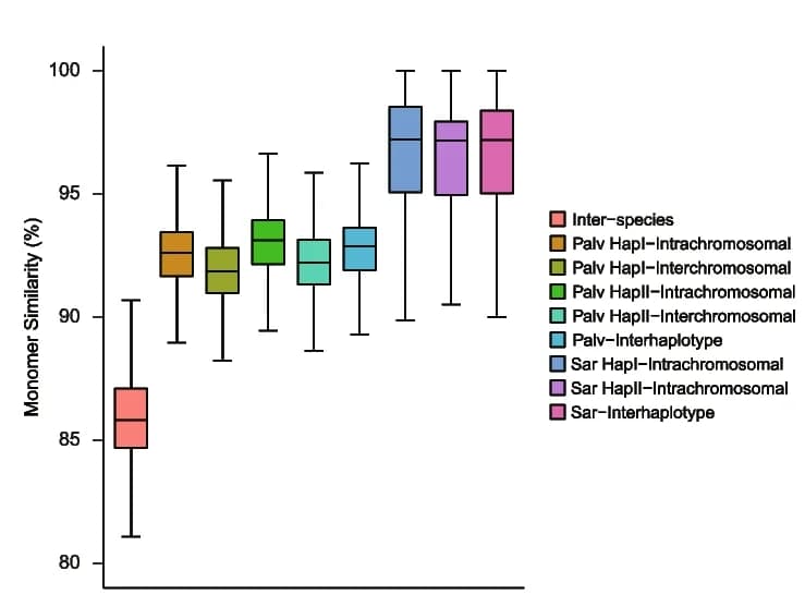 Open access visualization of Box Plot, Boxplot, Palv148 TRA, Sar145 TRA, Monomer Similarity
