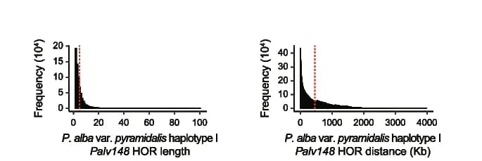 Open access visualization of Line Plot, Density Plot, Palv148, HOR Block, Monomer Number