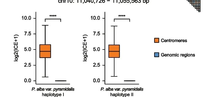 Open access visualization of Box Plot, Hi-C Interaction, Palv148 TRA, Centromere, Non-Centromeric Region