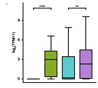 Open access visualization of Box Plot, Gene Expression, Repositioned Centromeres, Homologous Regions, Boxplot