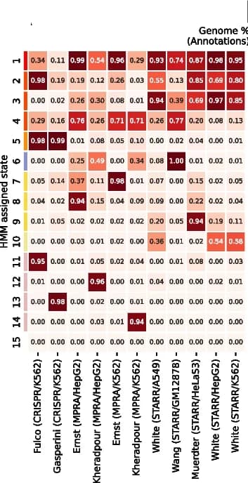 Open access visualization of Heatmap, ChromScoreHMM, Emission Parameters, Expert Predictions