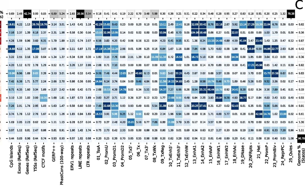 Open access visualization of Heatmap, Fold Enrichments, Sequence Annotations, Gene Annotations, CpG Islands