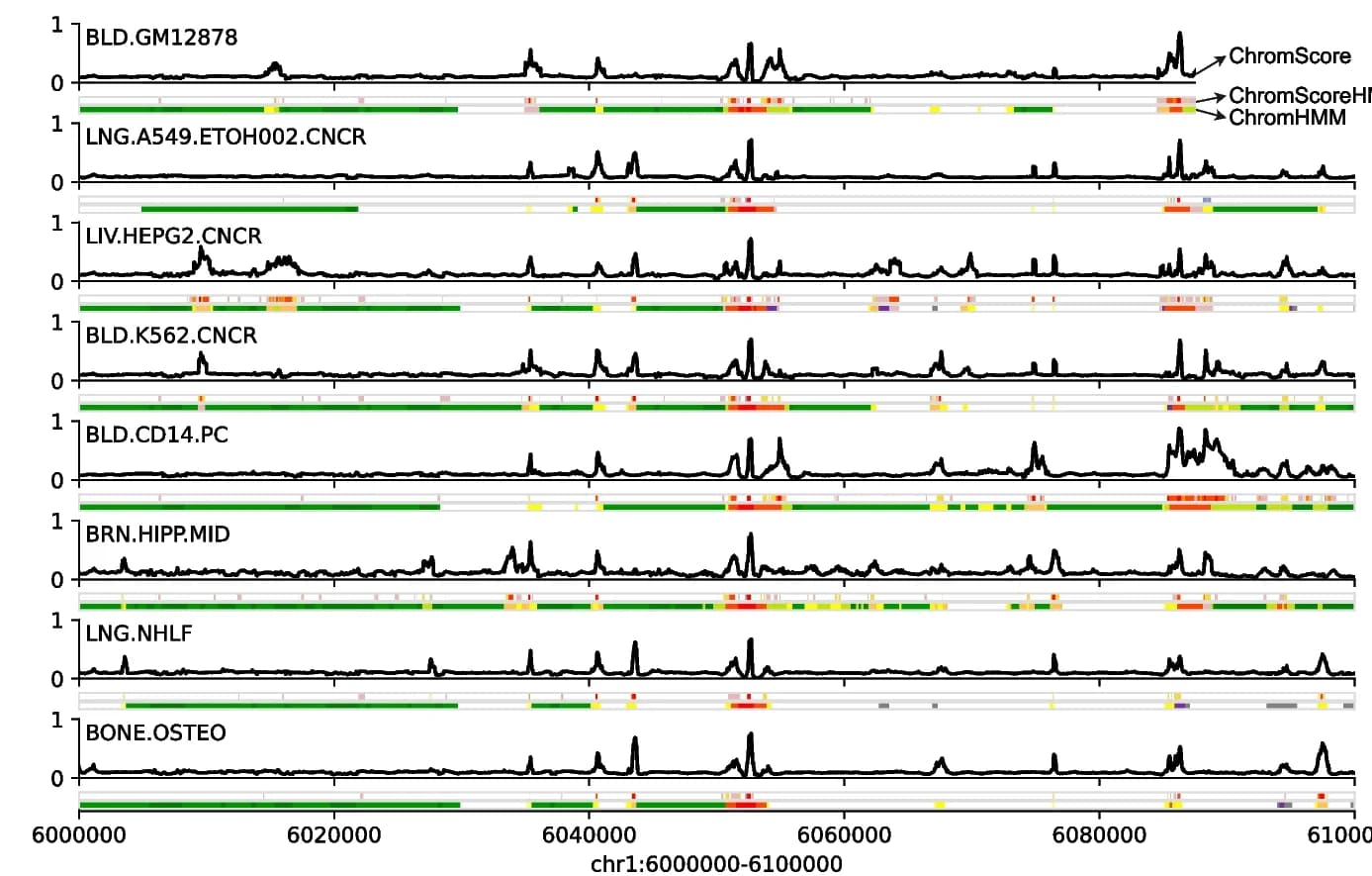 Open access visualization of Line Plot, ChromScore Tracks, Cell Types, ChromScoreHMM, ChromHMM