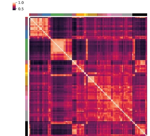 Open access visualization of Heatmap, ChromScore, Pearson Correlations, Cell Types