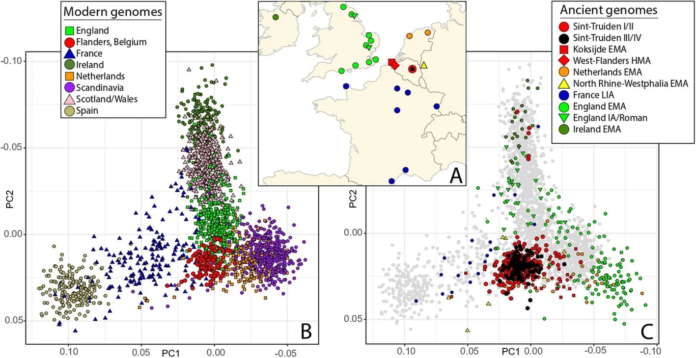 Open access visualization of Scatter Plot, Geo Map, PCA, North Sea Region, Early Middle Ages