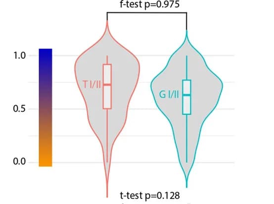 Open access visualization of Violin Plot, Box Plot, Gaulish, Ancestry, Groenmarkt