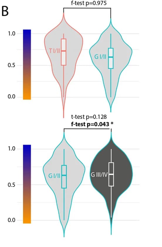 Open access visualization of Violin Plot, Box Plot, Gaulish, Ancestry, Early Phase