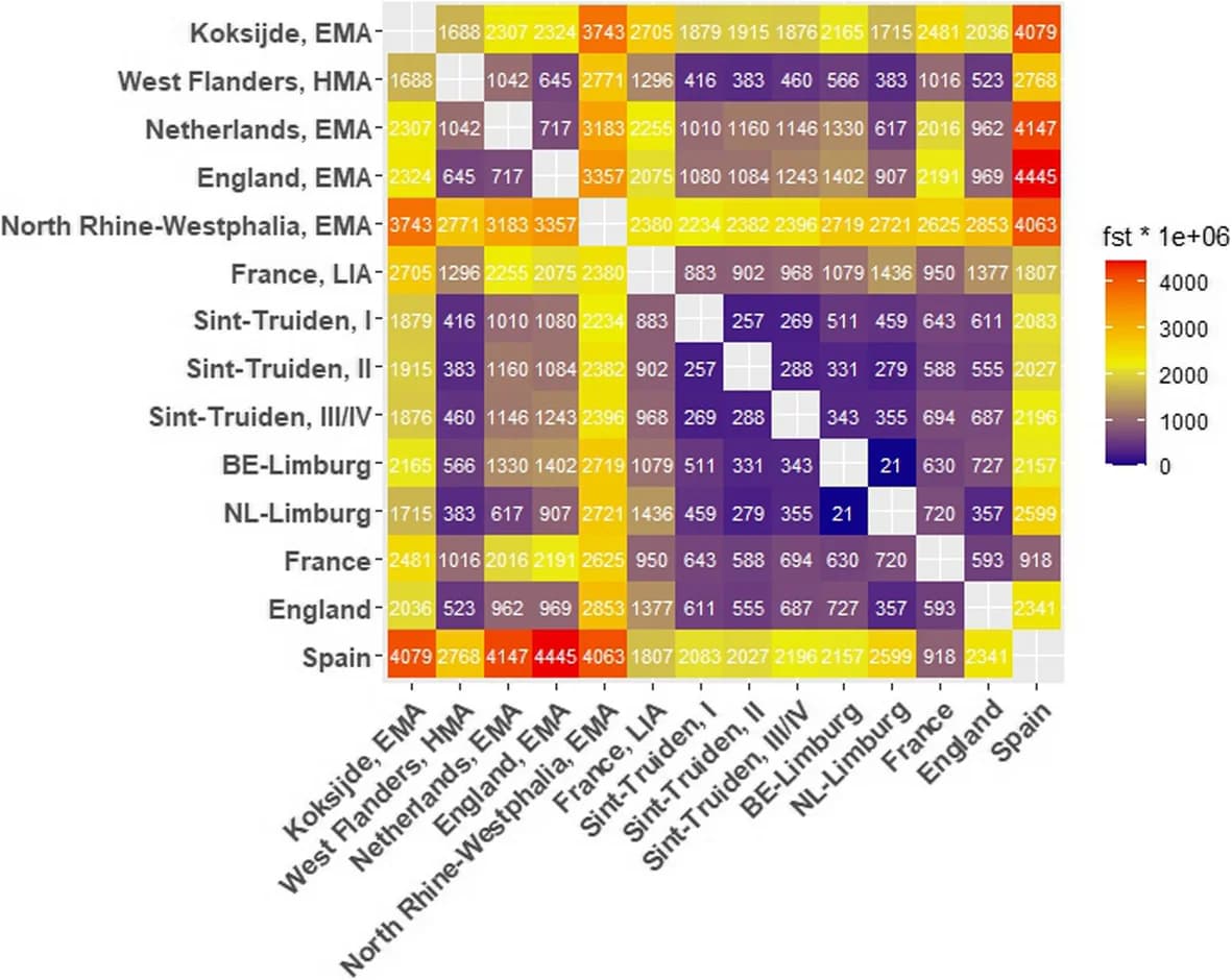 Open access visualization of Heatmap, Genetic Distances, Ancient Populations, Modern Populations, Fst