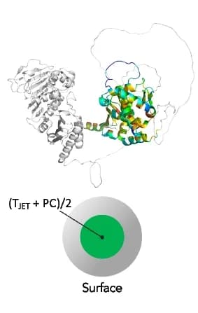 Open access visualization of Protein Structure, MHL1 Human Protein, Structural Model, Evolutionary Conservation, Physico-Chemical Properties