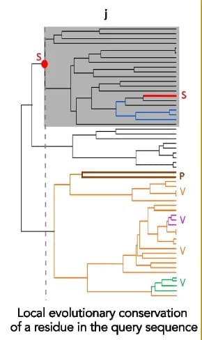 Open access visualization of Network, Pathway, Sequence Positions, Residues, Residue S