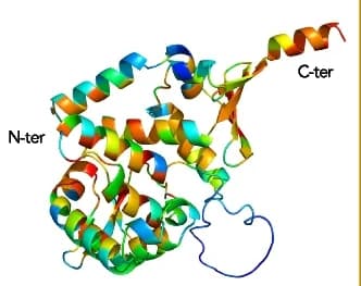 Open access visualization of Protein Structure, MLH1 Structure, Scores
