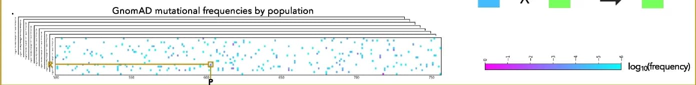 Open access visualization of Scatter Plot, Heatmap, Allele Frequencies, Populations, gnomAD