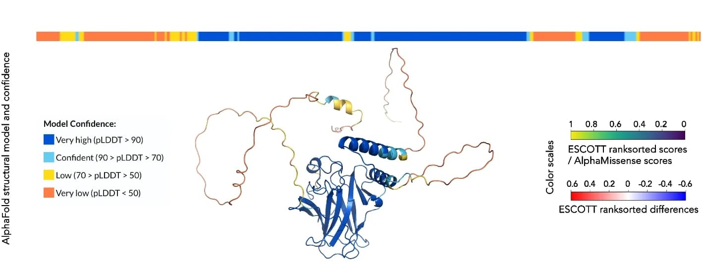 Open access visualization of Protein Structure, Bar Plot, AlfaFold, Structural Model, TP53 Gene