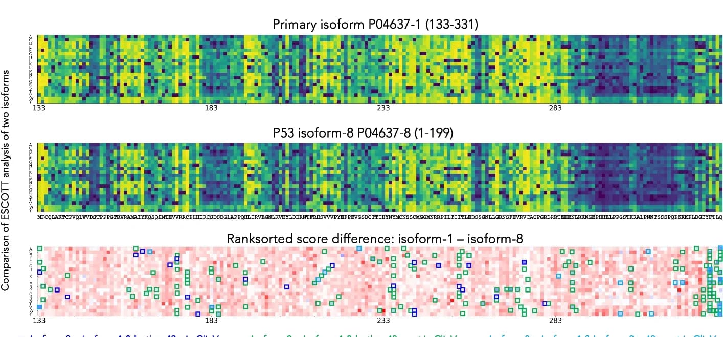 Open access visualization of Heatmap, TP53, Isoform-8, Isoform-1, Difference Matrix