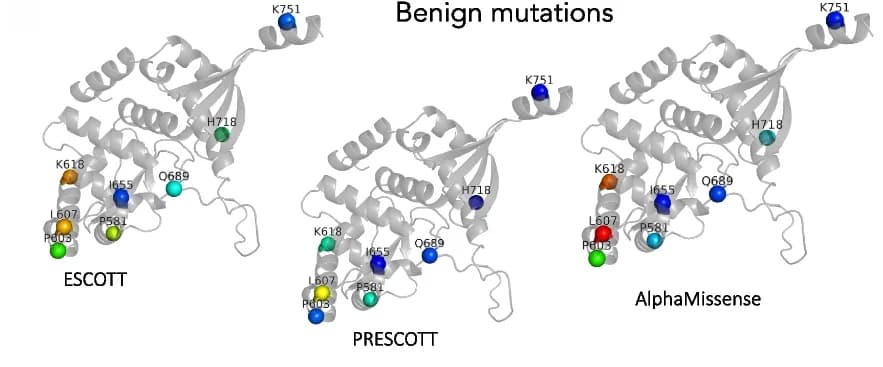 Open access visualization of Protein Structure, Mutations, Scores, ClinVar, Benign Mutations