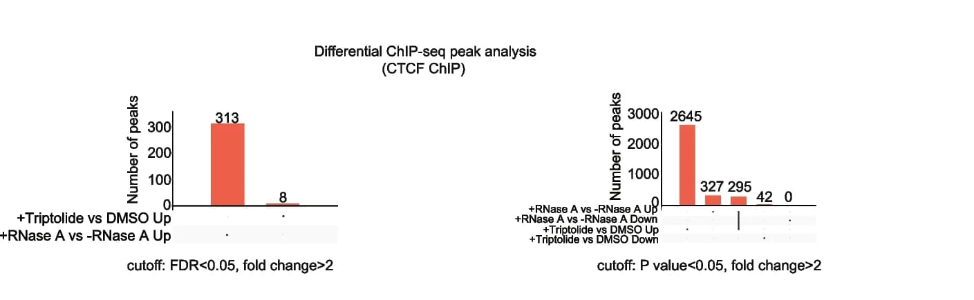 Open access visualization of Bar Plot, CTCF, Binding Peaks, Triptolide, DMSO
