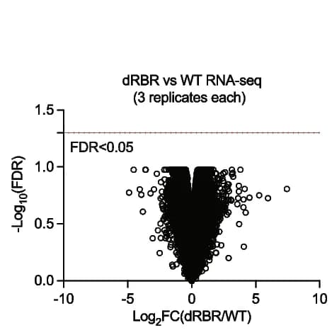 Open access visualization of Volcano Plot, Scatter Plot, RNA-seq, Gene Expression, CTCF