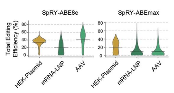 Open access visualization of Violin Plot, Editing Efficiency, SpRY-ABE8e, SpRY-ABEmax, PAMs