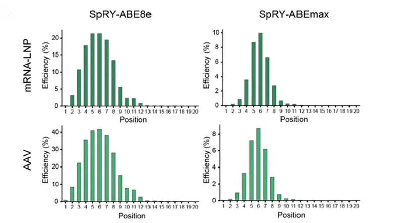 Open access visualization of Bar Plot, Editing Window, mRNA-LNP, AAV Datasets, SpRY-ABE8e