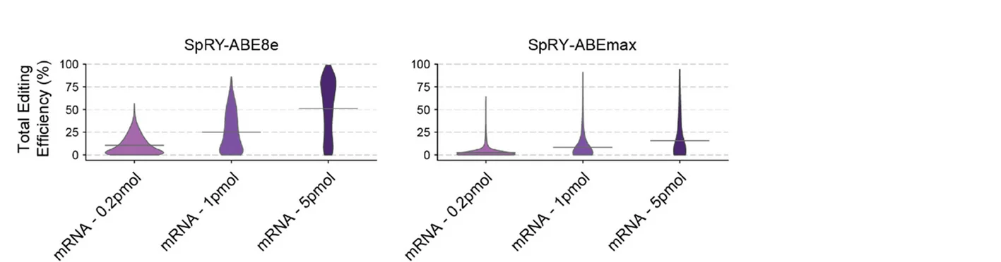 Open access visualization of Violin Plot, Box Plot, Editing Efficiency, mRNA-ABE, SpRY-ABE8e