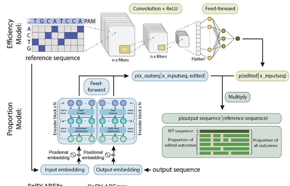 Open access visualization of Workflow, Flowchart, BEDICT2.0, Machine Learning Algorithm, Efficiency Model