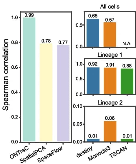 Open access visualization of Bar Plot, Clustered, Bar Plots, Spearman Correlation, Ground Truth