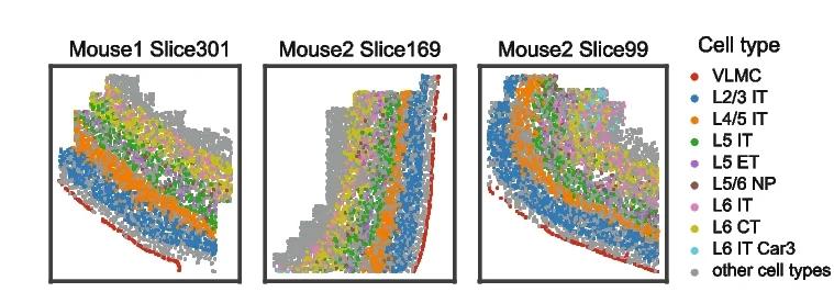 Open access visualization of Scatter Plot, Mouse Motor Cortex, MERFISH Data, Spatial Distribution, Cell Types
