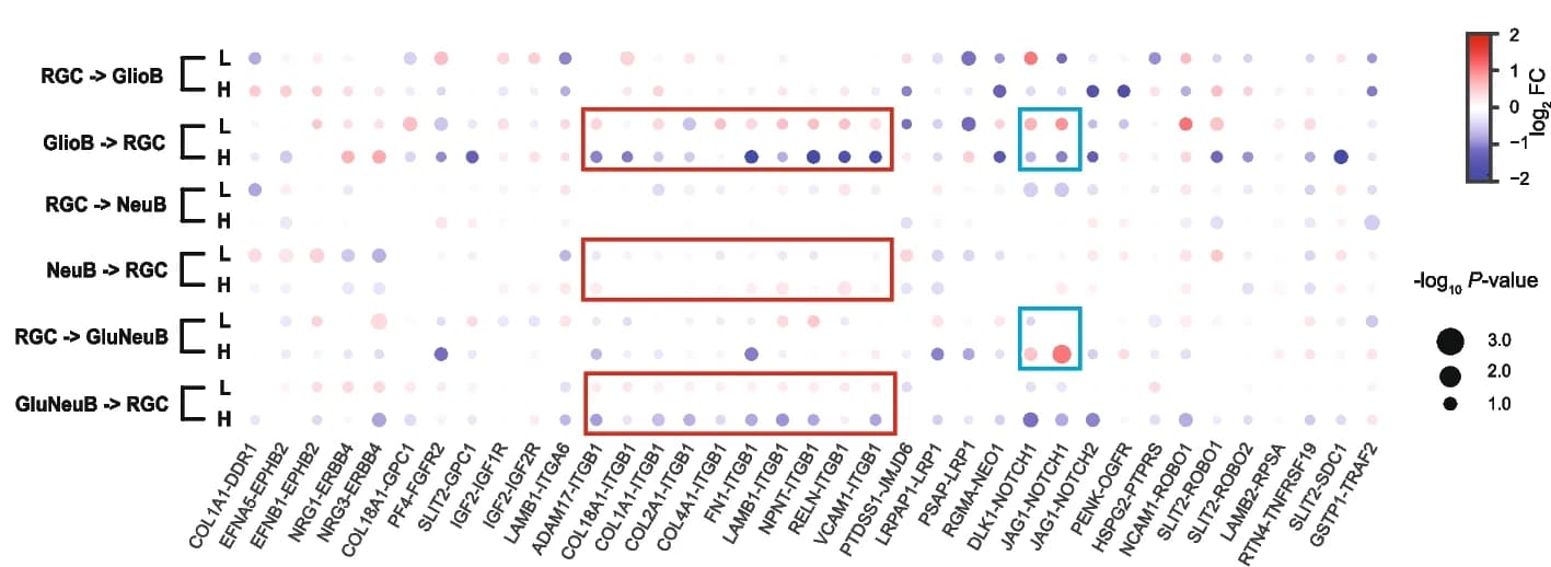 Open access visualization of Scatter Plot, Volcano Plot, Ligand-Receptor, Cell Type Pair, Microenvironment
