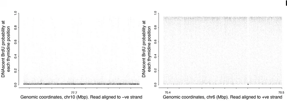 Open access visualization of Scatter Plot, Manhattan Plot, Nanopore Sequencing, HeLa-S3 Cell Culture, BrdU
