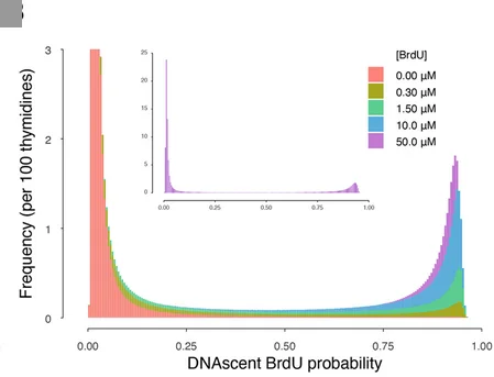 Open access visualization of Histogram, Frequency Distribution, BrdU, Nanopore Sequencing, HeLa-S3 Cells