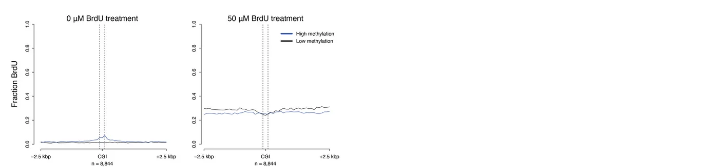Open access visualization of Line Plot, BrdU, DNAscent, Thymidine, CGI Centers
