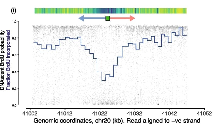 Open access visualization of Line Step, Scatter Plot, Heatmap, Single-Molecule, Nanopore Sequencing
