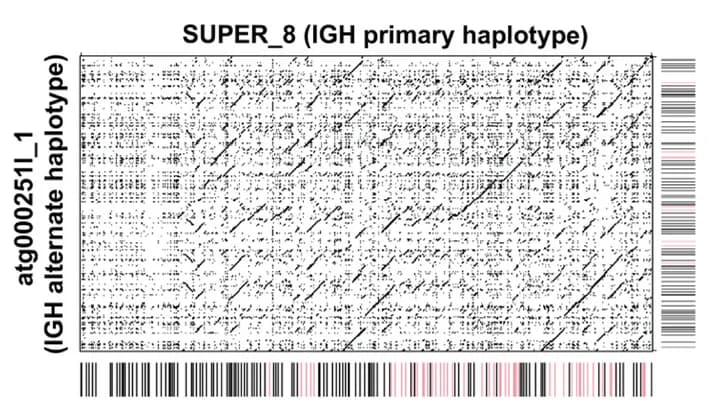 Open access visualization of Scatter Plot, Manhattan Plot, Heatmap, Dotplot, Gene Locations