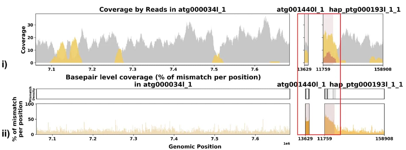 Open access visualization of Line Plot, Density Plot, Alignment Mismatch, IGH Haplotype, Read Coverage