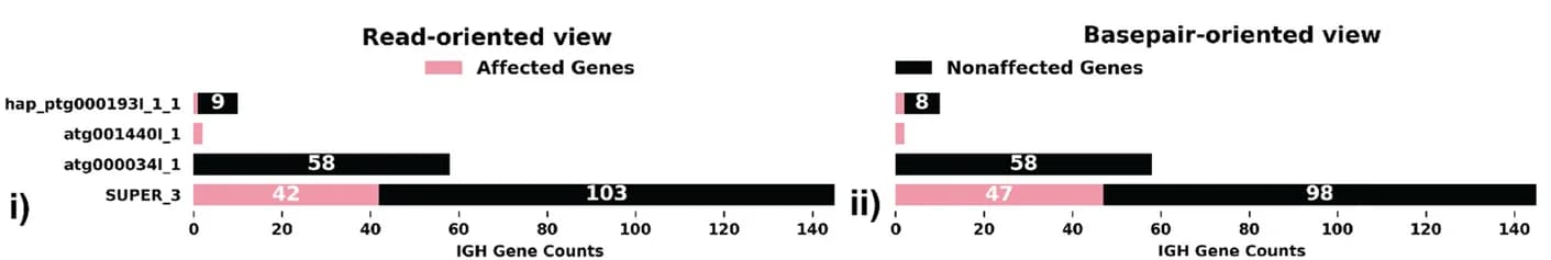 Open access visualization of Bar Plot, Stacked Bar Plot, IG Gene Quality, Read-Oriented View, Basepair-Oriented View
