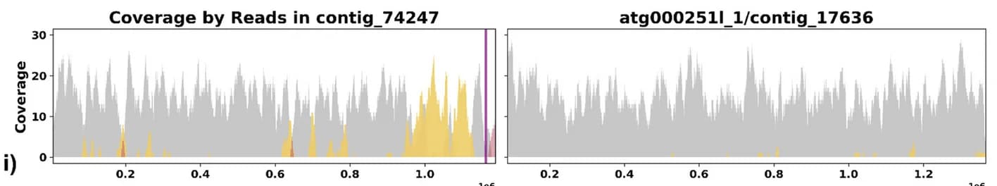 Open access visualization of Line Plot, Line Step, Alternate Haplotype, Alignment Mismatch, Re-analysis