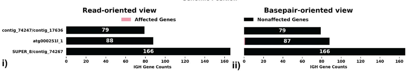 Open access visualization of Bar Plot, IG Gene Quality, Read-Oriented View, Basepair-Oriented View, IGH Genes