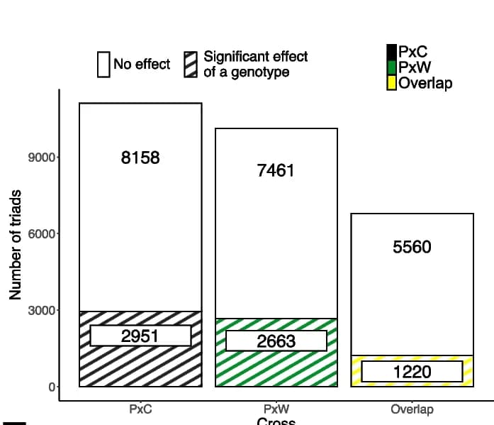 Open access visualization of Stacked Bar Plot, Triads, Significant Association, HEB, F5 Lines