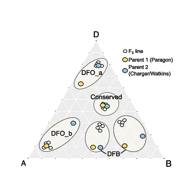 Open access visualization of Scatter Plot, Expression Bias, F5 Lines, Parental Lines